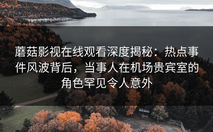 蘑菇影视在线观看深度揭秘：热点事件风波背后，当事人在机场贵宾室的角色罕见令人意外