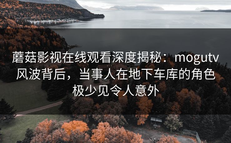 蘑菇影视在线观看深度揭秘：mogutv风波背后，当事人在地下车库的角色极少见令人意外