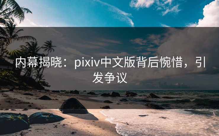 内幕揭晓：pixiv中文版背后惋惜，引发争议