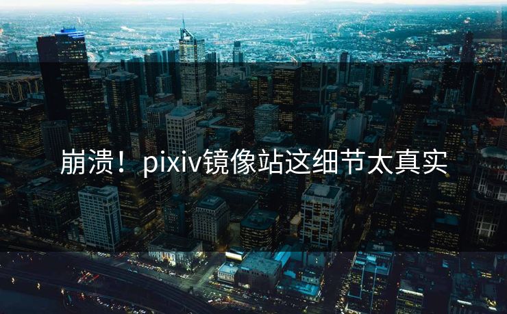 崩溃！pixiv镜像站这细节太真实