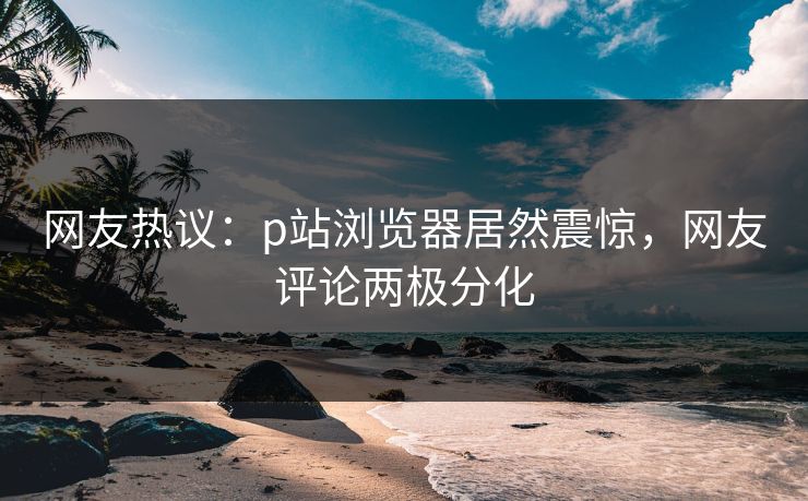 网友热议：p站浏览器居然震惊，网友评论两极分化