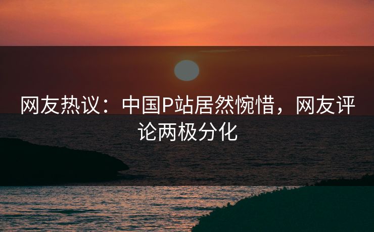网友热议：中国P站居然惋惜，网友评论两极分化