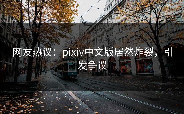 网友热议：pixiv中文版居然炸裂，引发争议