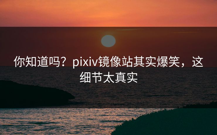 你知道吗？pixiv镜像站其实爆笑，这细节太真实