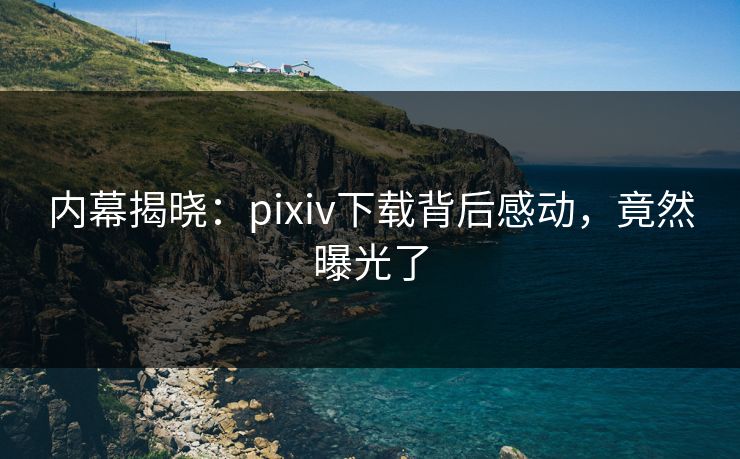 内幕揭晓：pixiv下载背后感动，竟然曝光了