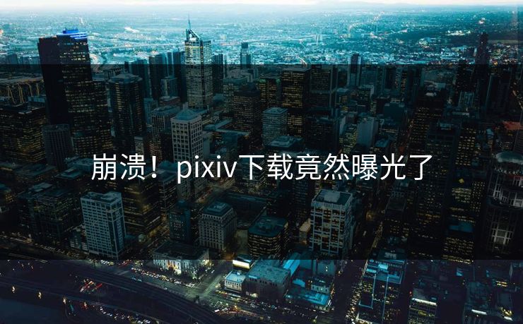 崩溃！pixiv下载竟然曝光了