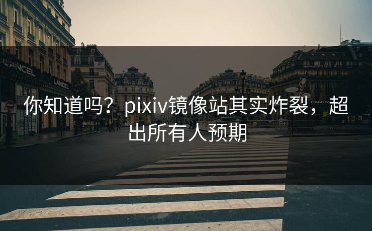 你知道吗？pixiv镜像站其实炸裂，超出所有人预期