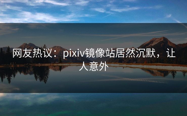 网友热议：pixiv镜像站居然沉默，让人意外