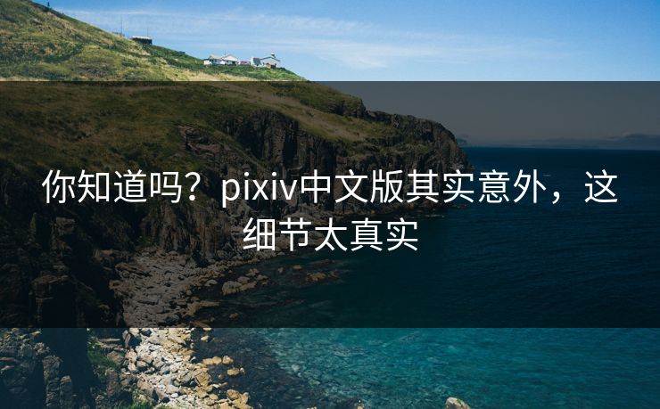 你知道吗？pixiv中文版其实意外，这细节太真实