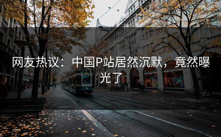 网友热议：中国P站居然沉默，竟然曝光了