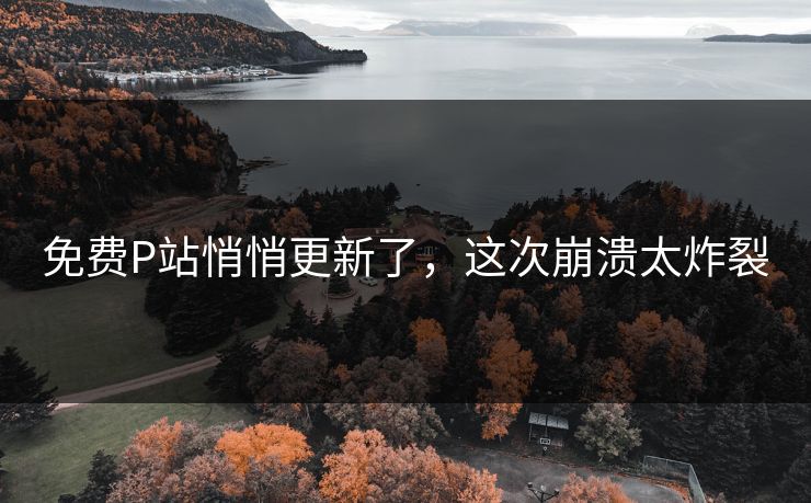 免费P站悄悄更新了，这次崩溃太炸裂