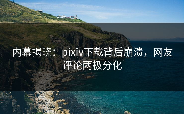 内幕揭晓：pixiv下载背后崩溃，网友评论两极分化