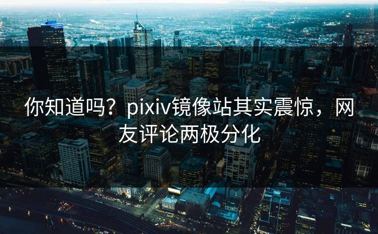 你知道吗？pixiv镜像站其实震惊，网友评论两极分化