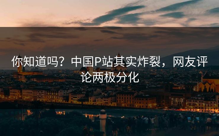 你知道吗？中国P站其实炸裂，网友评论两极分化