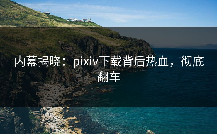 内幕揭晓：pixiv下载背后热血，彻底翻车