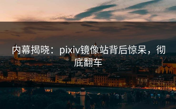 内幕揭晓：pixiv镜像站背后惊呆，彻底翻车