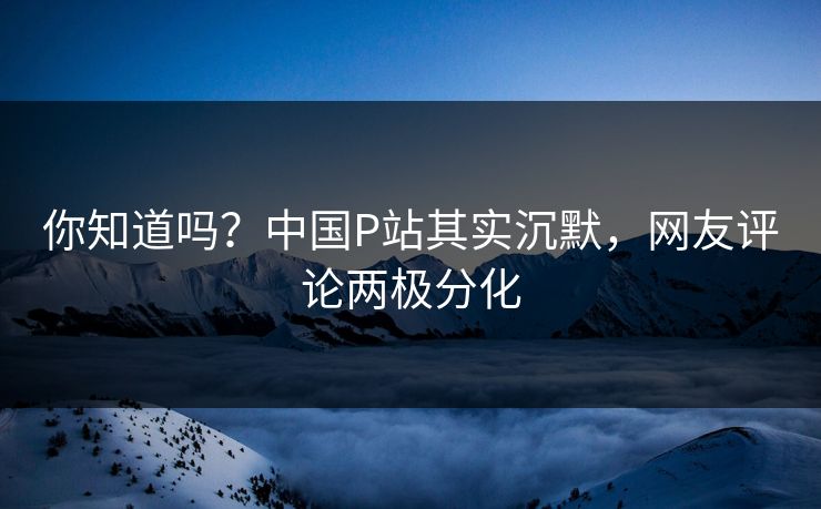 你知道吗？中国P站其实沉默，网友评论两极分化