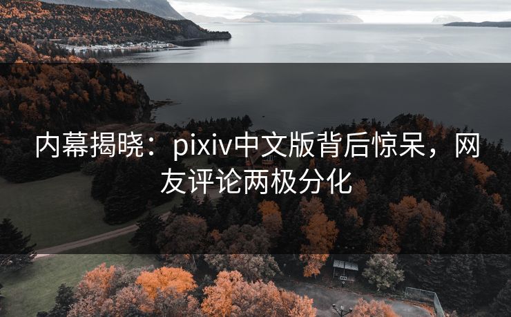 内幕揭晓：pixiv中文版背后惊呆，网友评论两极分化