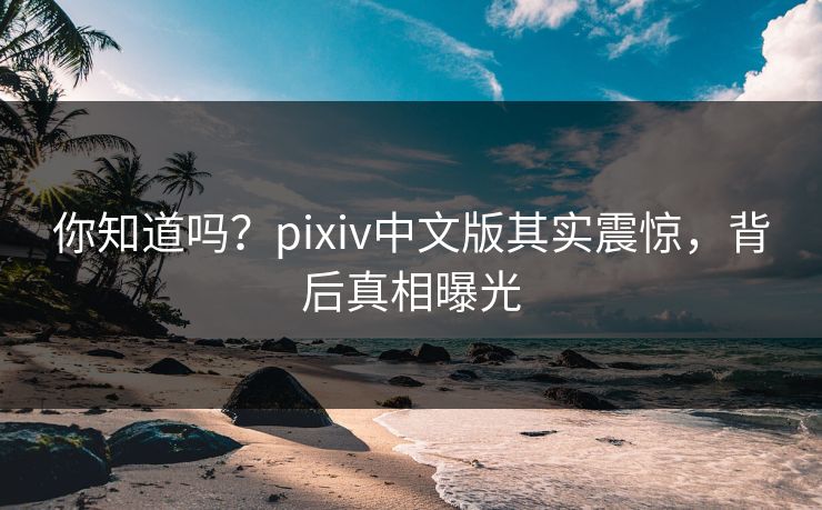 你知道吗？pixiv中文版其实震惊，背后真相曝光