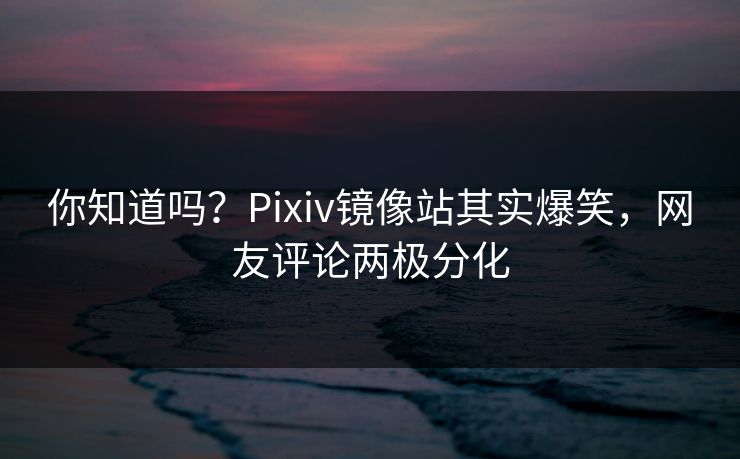 你知道吗？Pixiv镜像站其实爆笑，网友评论两极分化