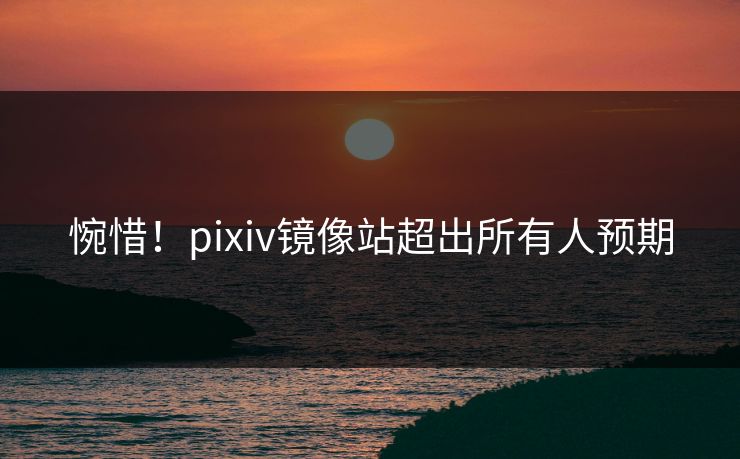 惋惜！pixiv镜像站超出所有人预期