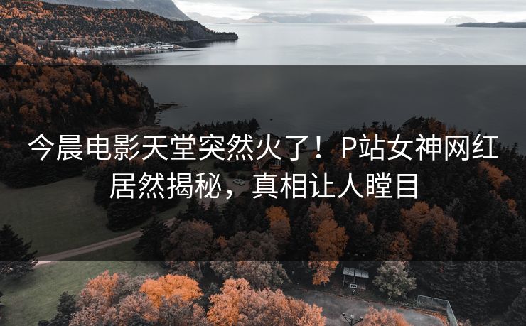 今晨电影天堂突然火了！P站女神网红居然揭秘，真相让人瞠目