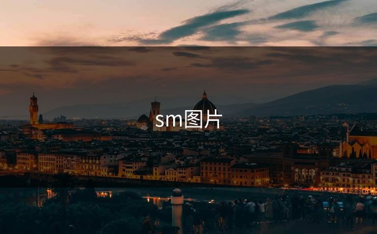 sm图片